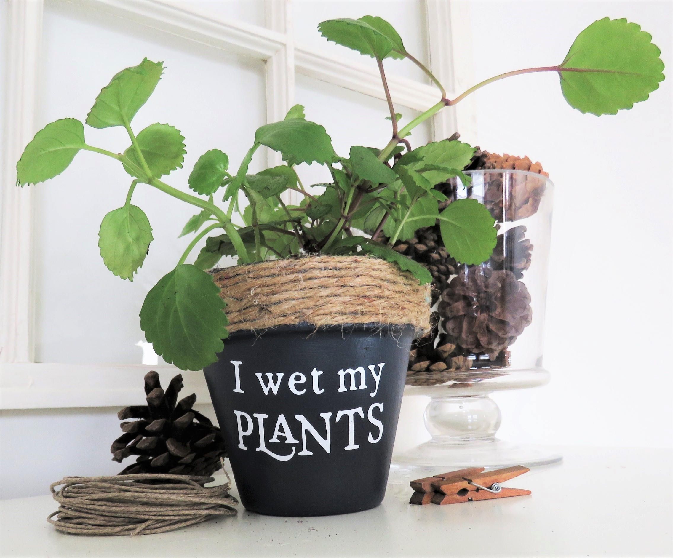 flower pots with funny sayings