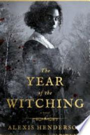 Cover image for The Year of the Witching