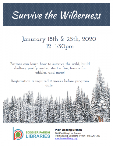 Survive the Wilderness