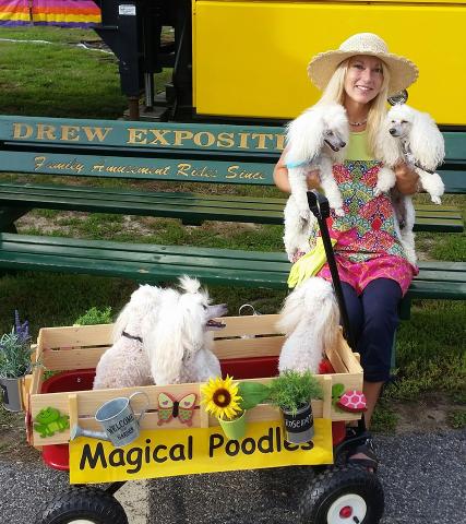 Michelles Magical Poodles
