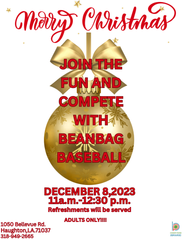 bean bag baseball flyer