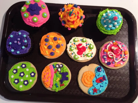 Hand decorated cookies