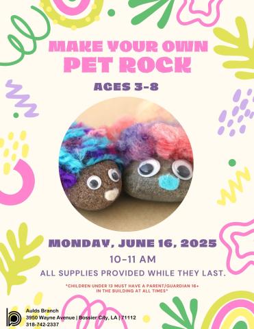 kids make a pet rock 2025