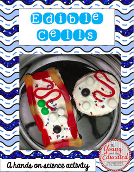 Edible cell examples made with cookies, frosting, and candy