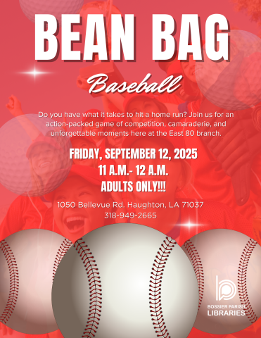 beanbag baseball flyer