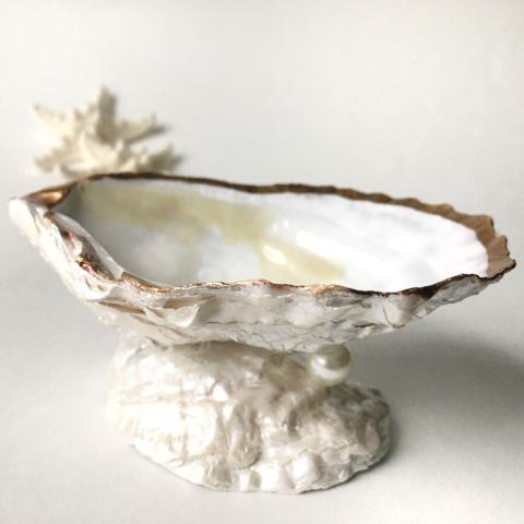 oyster shell trinket dish