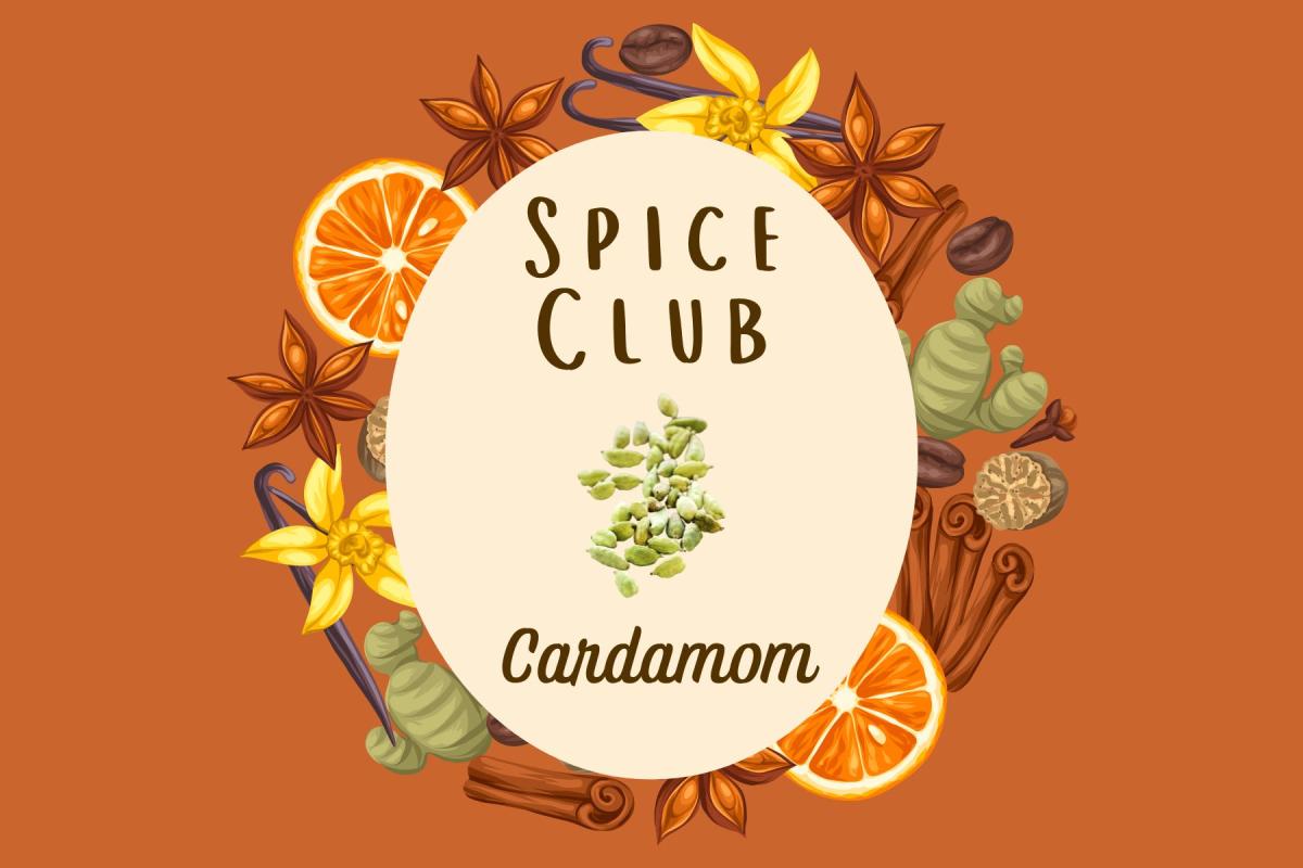 Graphic showing cardamom illustration