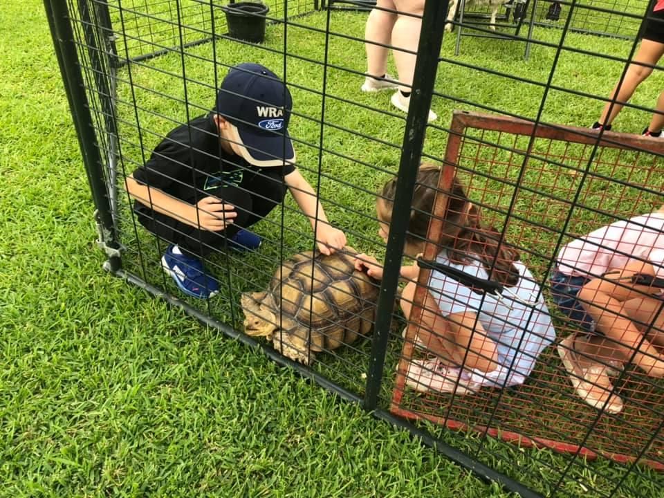 The Jubilee Zoo from our 2022 Summer Experience