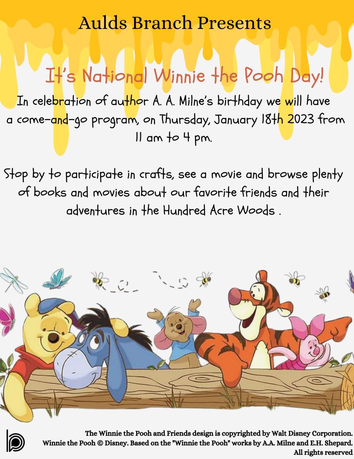 Winnie the Pooh flyer