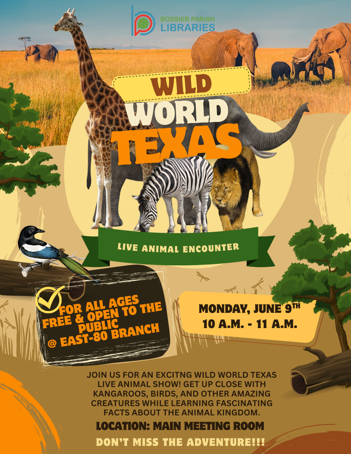 WILD WORLD TEXAS FLYER