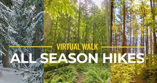 virtual walk graphic