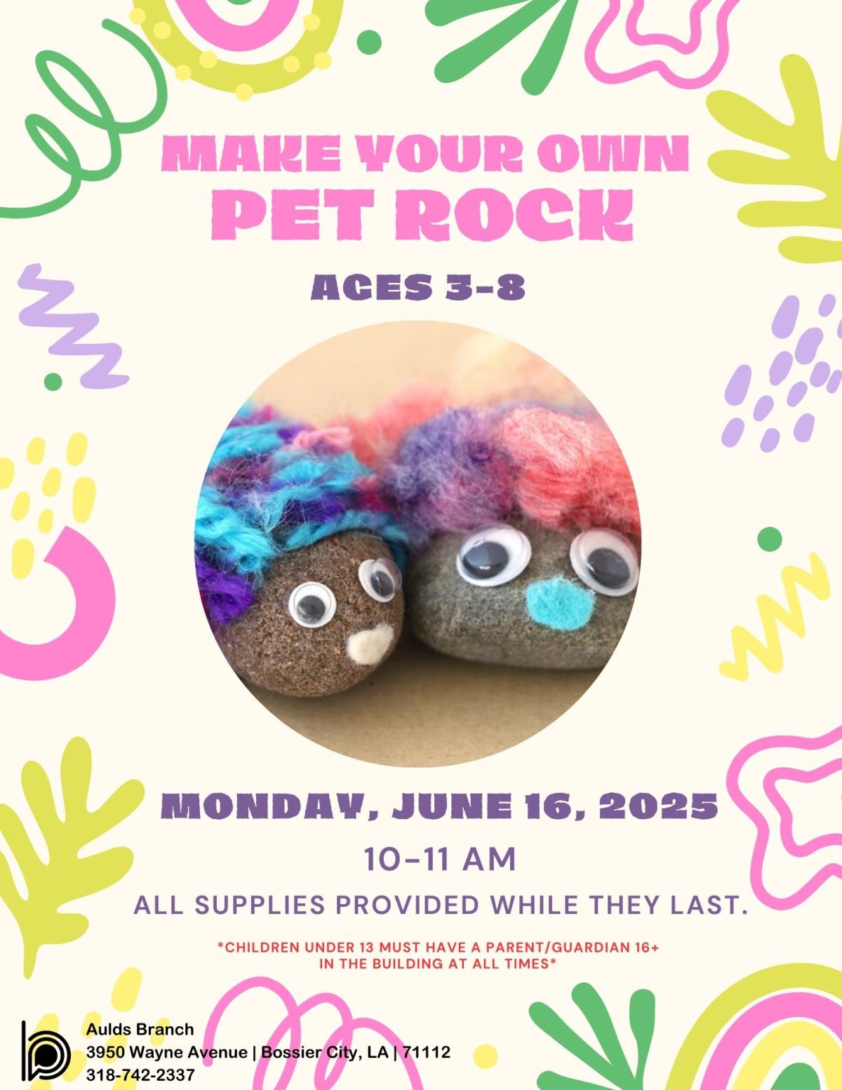 kids make a pet rock 2025